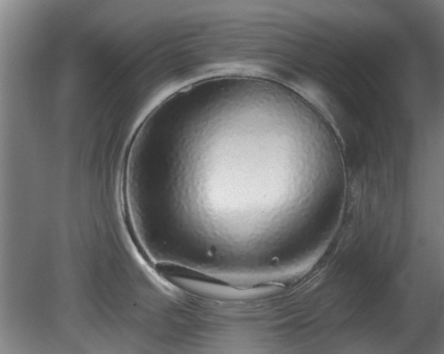 X0000080101391200612151609