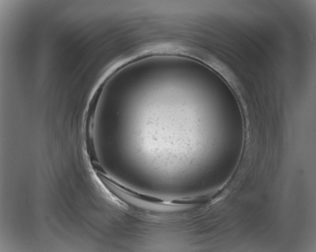 X0000080101392200612151609