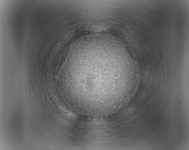 X0000080101393200612151609