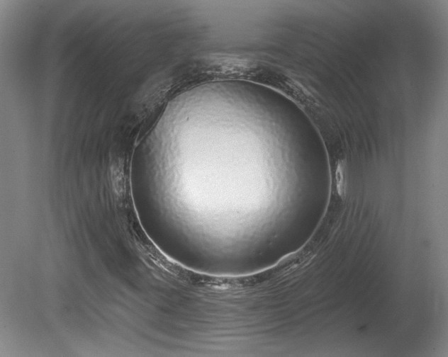 X0000080101395200612151609