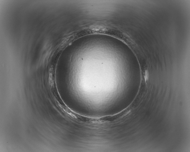 X0000080101396200612151609
