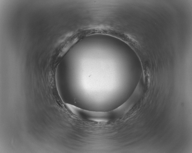 X0000080101398200612151609