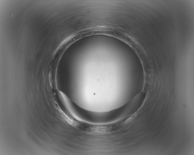 X0000080101402200612151609