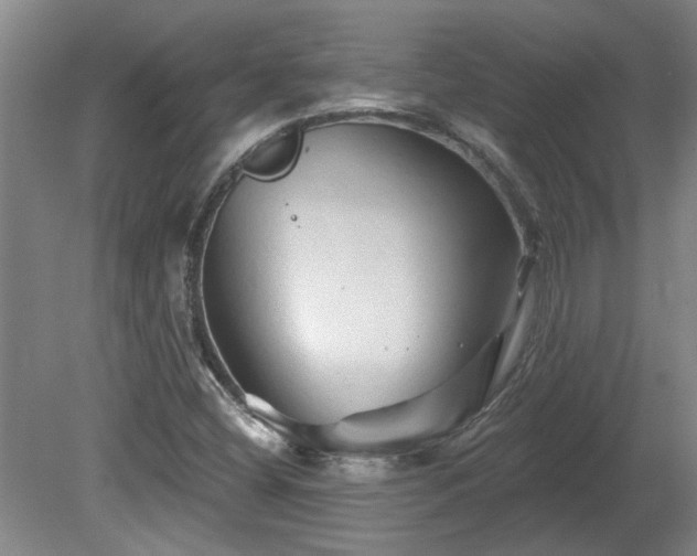 X0000080101404200612151609