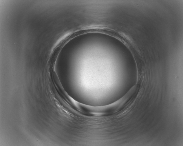 X0000080101406200612151609