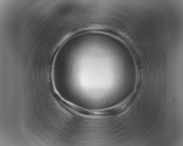 X0000080101409200612151609