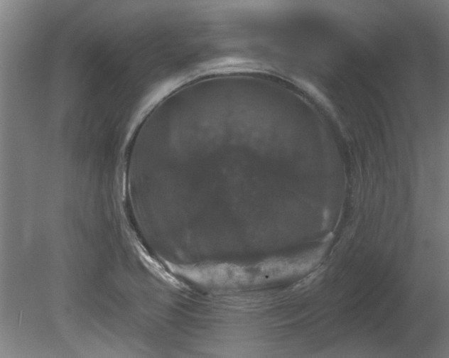 X0000080101413200612151609