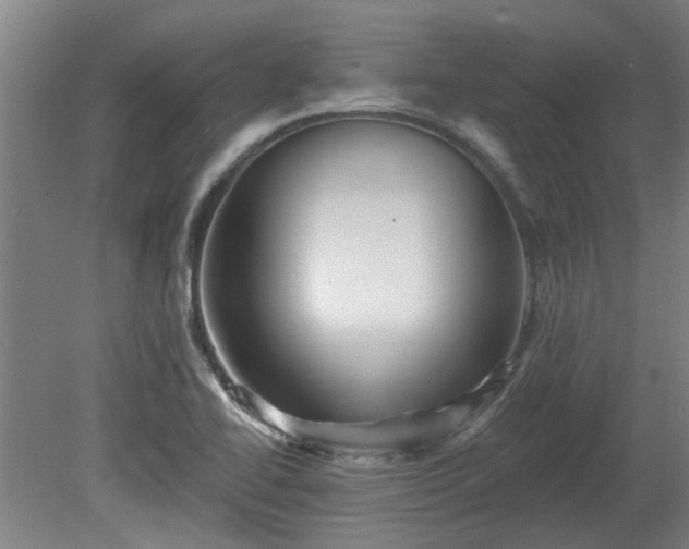 X0000080101414200612151609