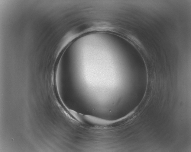 X0000080101420200612151609
