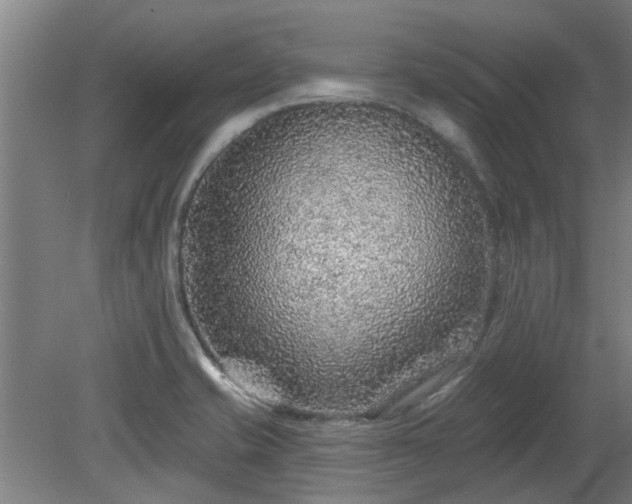 X0000080101421200612151609