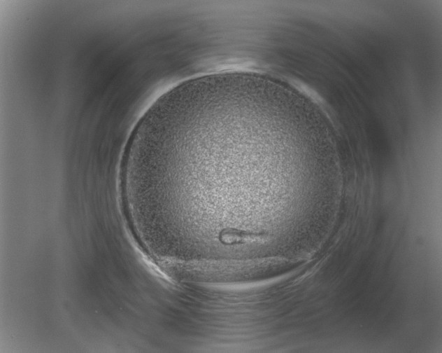 X0000080101423200612151609