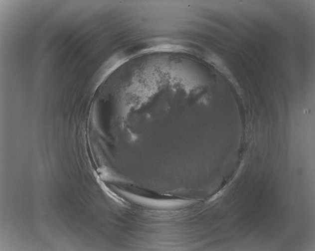 X0000080101425200612151609