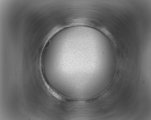 X0000080101431200612151609