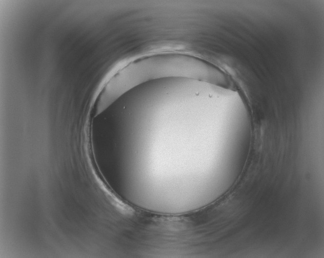 X0000080101432200612151609