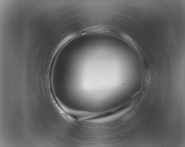 X0000080101434200612151609