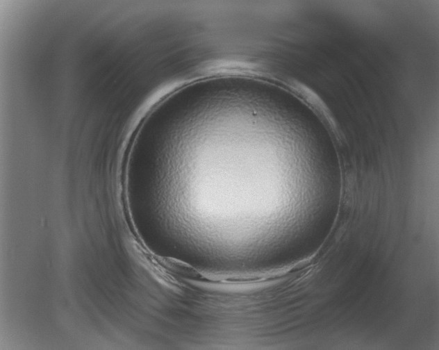 X0000080101435200612151609