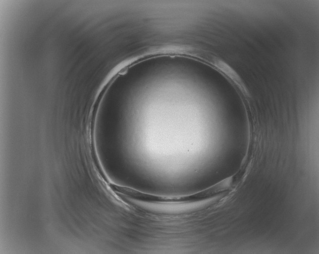 X0000080101436200612151609