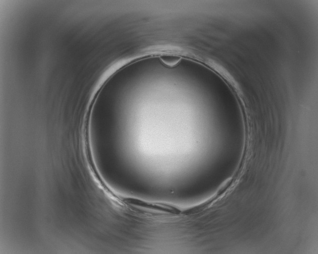 X0000080101440200612151609