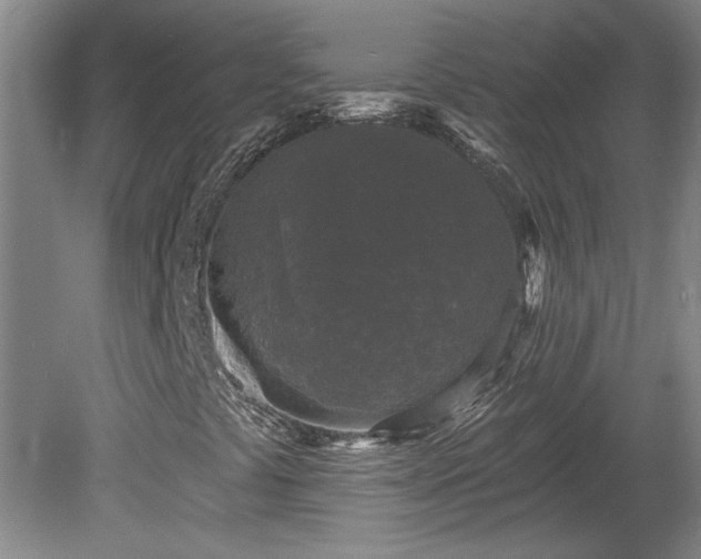 X0000080101441200612151609