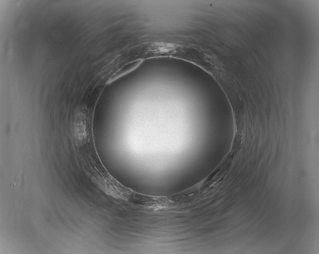X0000080101442200612151609