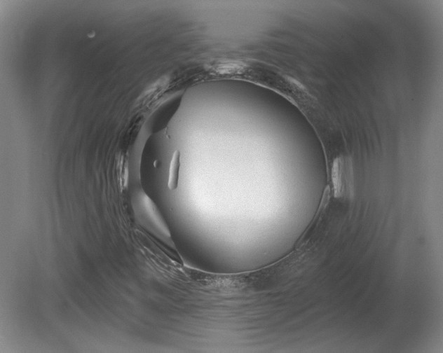 X0000080101443200612151609