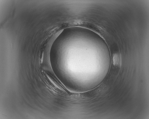 X0000080101444200612151609