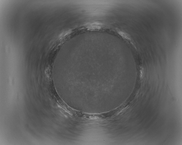 X0000080101445200612151609