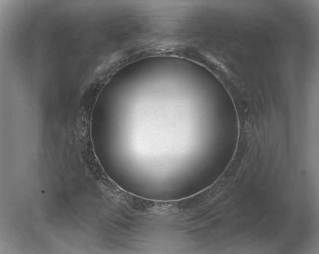 X0000080101447200612151609
