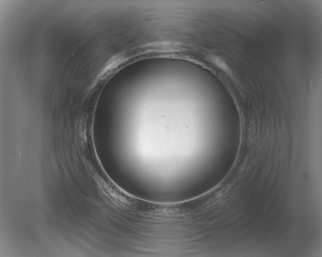 X0000080101451200612151608