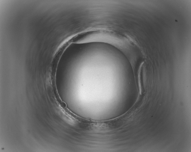 X0000080101452200612151608