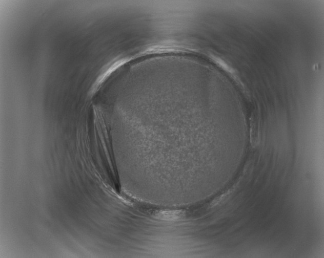 X0000080101453200612151608