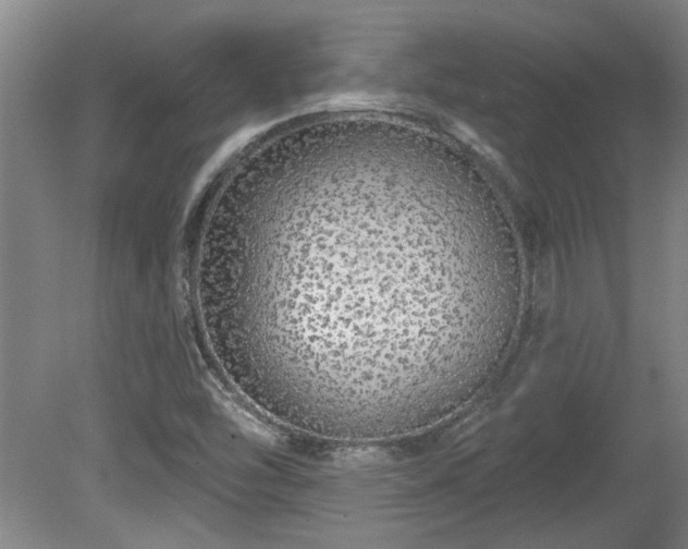 X0000080101454200612151608