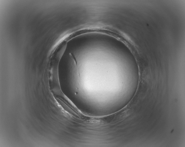 X0000080101456200612151608