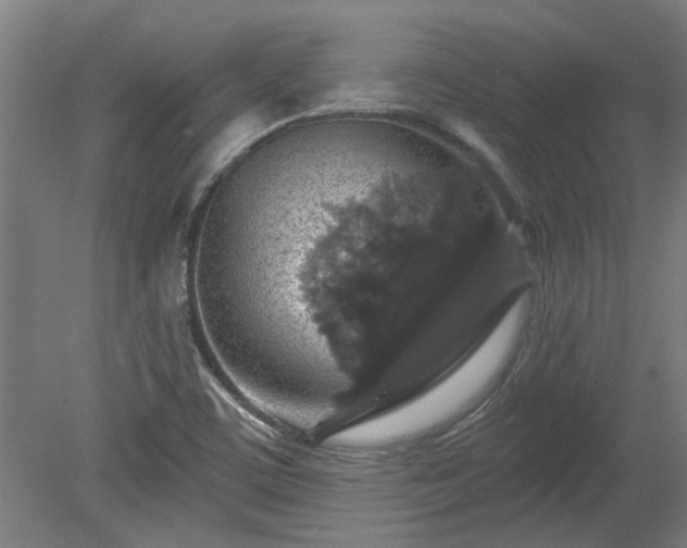 X0000080101459200612151608