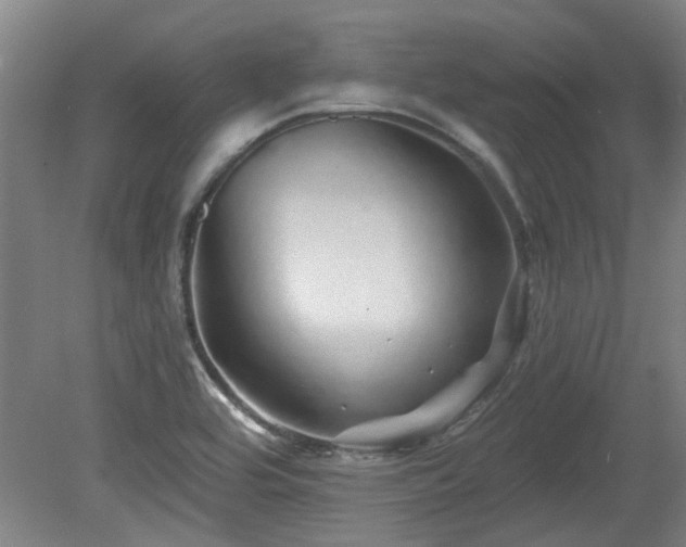 X0000080101464200612151608