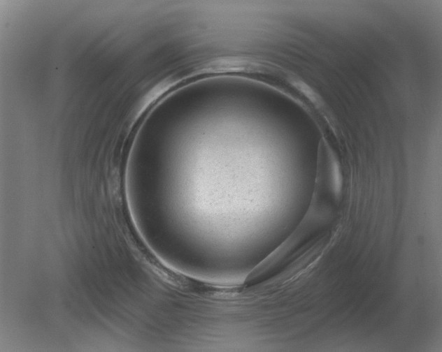 X0000080101465200612151608