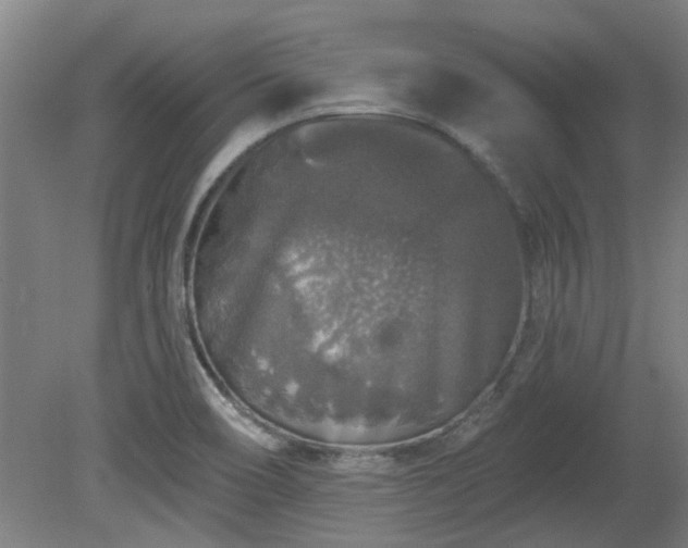 X0000080101466200612151608