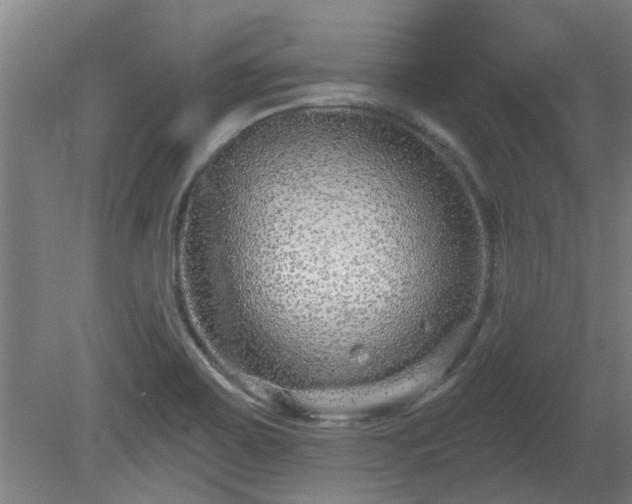 X0000080101467200612151608