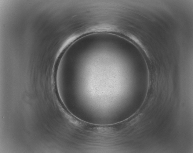X0000080101469200612151608