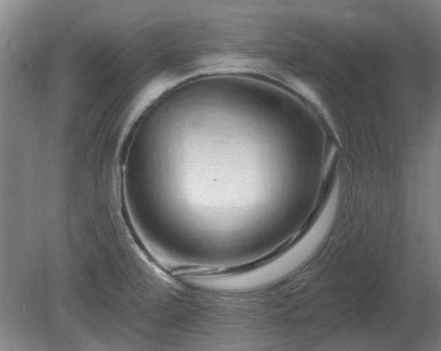 X0000080101472200612151608