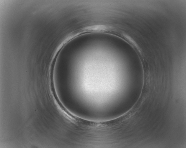 X0000080101475200612151608