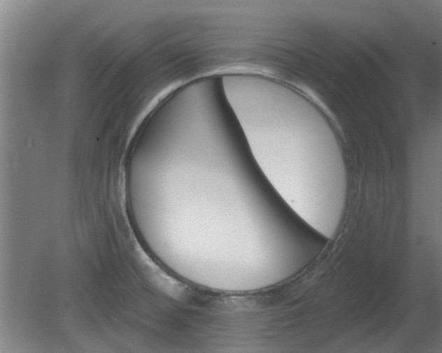 X0000080101476200612151608