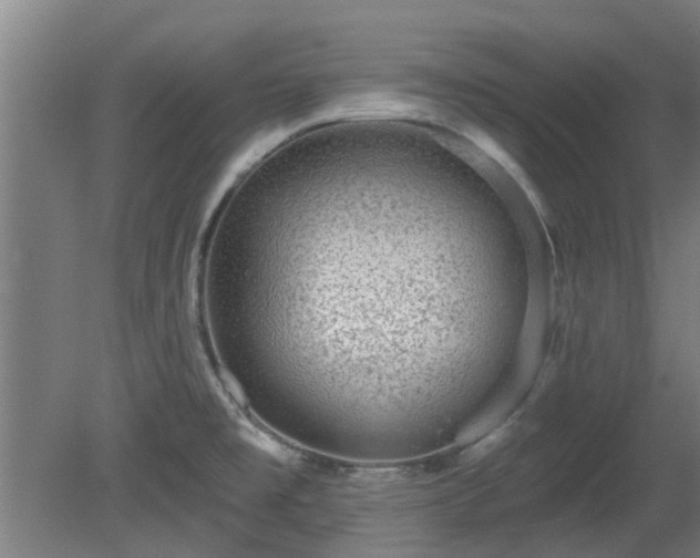 X0000080101477200612151608