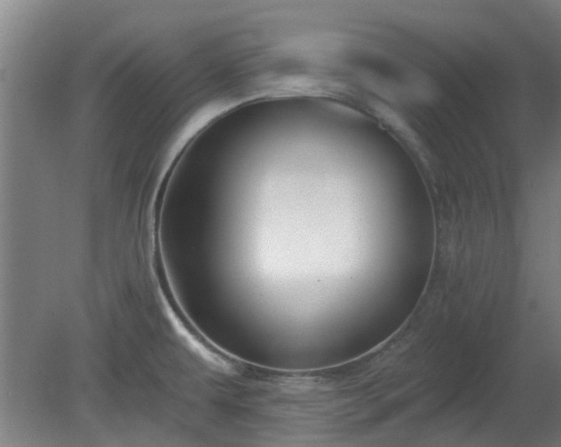 X0000080101479200612151608
