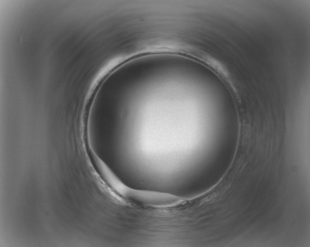X0000080101480200612151608