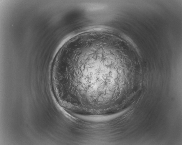 X0000080101483200612151608