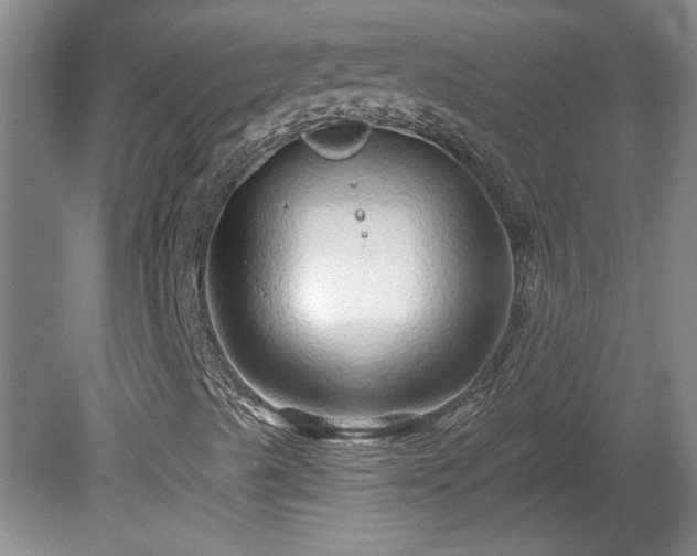 X0000080101489200612151607