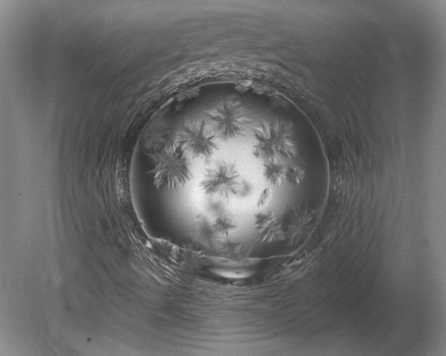 X0000080101490200612151607