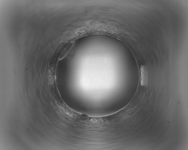X0000080101491200612151607