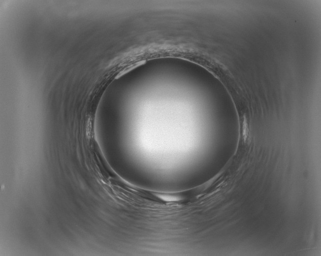 X0000080101492200612151607